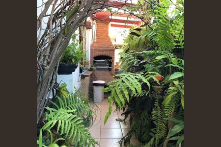 Casa à venda com 3 quartos, 410m² em Vila Matilde, São Paulo