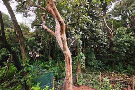 Casa à venda com 4 quartos, 236m² em Medeiros, Jundiaí