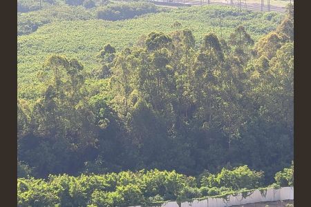 Apartamento à venda com 48m², 2 quartos e 1 vaga