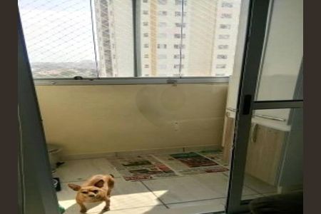 Apartamento à venda com 2 quartos, 52m² em Vila Santa Catarina, São Paulo