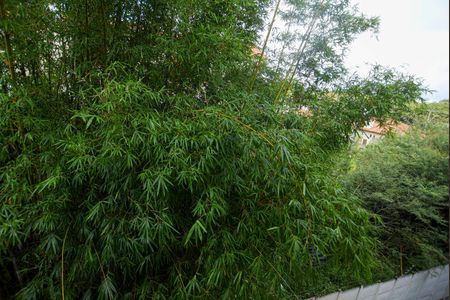 Apartamento para alugar com 38m², 2 quartos e 1 vagaVista do Quarto 1