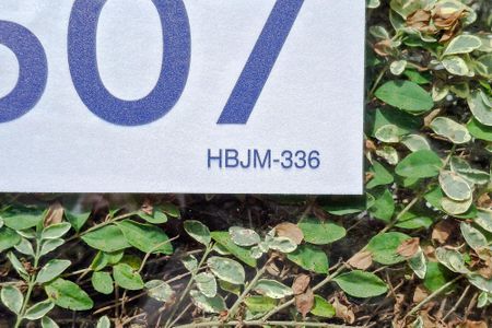 Casa à venda com 39m², 1 quarto e 1 vaga