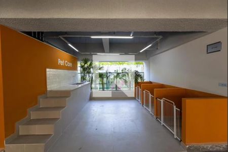 Apartamento para alugar com 34m², 2 quartos e sem vaga Apartamento para alugar com 34m², 2 quartos e sem vagaEspaço pet