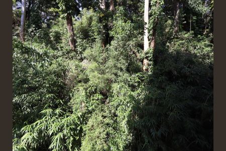 Apartamento à venda com 61m², 2 quartos e 1 vagaVista da Suíte