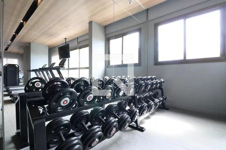 Apartamento à venda com 119m², 3 quartos e 2 vagas Apartamento à venda com 119m², 3 quartos e 2 vagasAcademia