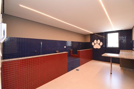 Apartamento para alugar com 31m², 1 quarto e sem vagaÁrea comum - Espaço Pet