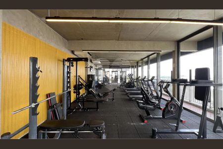 Apartamento à venda com 3 quartos, 84m² em Sumarezinho, São Paulo