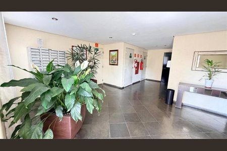 Apartamento à venda com 2 quartos, 50m² em Parque Mandaqui, São Paulo