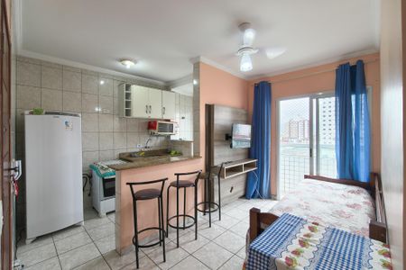 Sala de apartamento para alugar com 1 quarto, 30m² em Cidade Ocian, Praia Grande