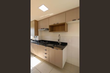 Apartamento para alugar com 42m², 2 quartos e sem vagaCozinha 