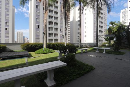 Apartamento à venda com 75m², 3 quartos e 1 vagaÁrea comum - Pracinha