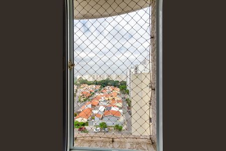 Apartamento para alugar com 64m², 3 quartos e 1 vaga Apartamento para alugar com 64m², 3 quartos e 1 vagaSuíte - Janela