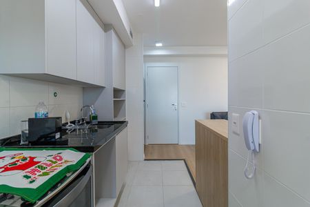 Apartamento à venda com 69m², 2 quartos e 1 vagaCozinha com móveis brancos e superf. Cies de granito, com um tapete de Natal sobre a pia.