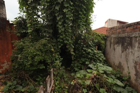 Casa à venda com 391m², 4 quartos e 3 vagasJardim
