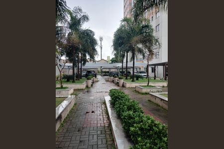 Apartamento para alugar com 72m², 3 quartos e 2 vagasArea de lazer condominio