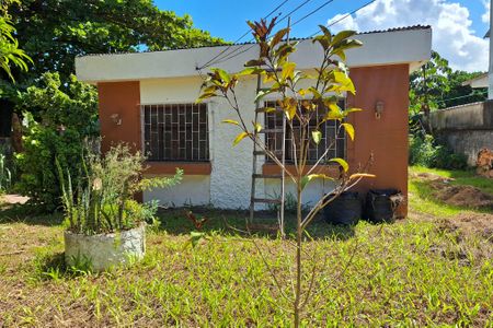 Casa para alugar com 800m², 2 quartos e 2 vagasQuintal