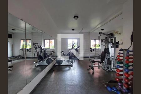 Apartamento para alugar com 64m², 3 quartos e 1 vaga Apartamento para alugar com 64m², 3 quartos e 1 vagaAcademia