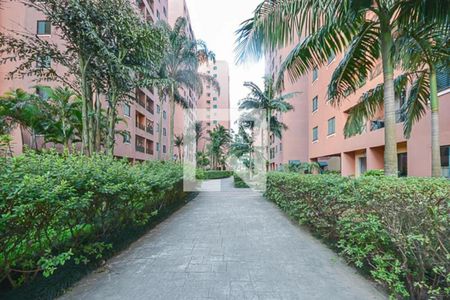 Apartamento para alugar com 64m², 3 quartos e 1 vaga Apartamento para alugar com 64m², 3 quartos e 1 vagaÁrea comum