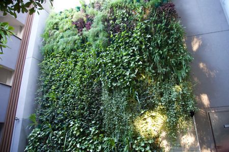 Apartamento para alugar com 53m², 1 quarto e 1 vaga Apartamento para alugar com 53m², 1 quarto e 1 vagaÁrea comum