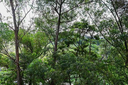 Apartamento para alugar com 55m², 2 quartos e 1 vagaVista do Quarto 2