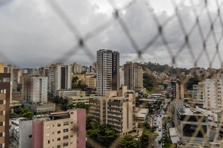 Vista da Suíte de apartamento para alugar com 2 quartos, 70m² em Buritis, Belo Horizonte