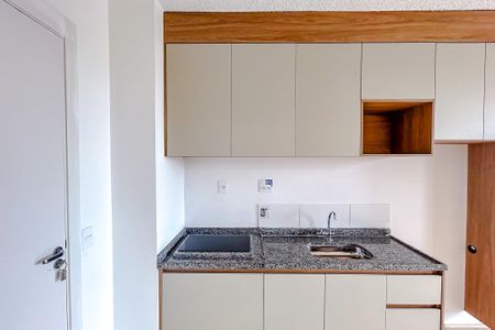 Studio para alugar com 25m², 1 quarto e sem vagaCozinha - Armários