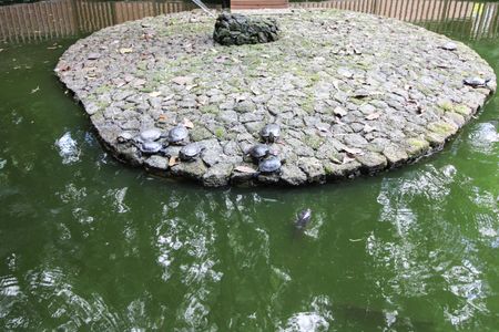 Apartamento para alugar com 54m², 2 quartos e 1 vaga Apartamento para alugar com 54m², 2 quartos e 1 vagaÁrea comum