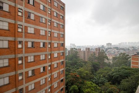 Vista do Quarto 1 de apartamento para alugar com 2 quartos, 54m² em Jardim Catanduva, São Paulo