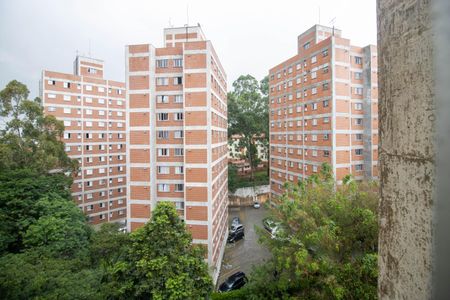 Vista Sala de apartamento para alugar com 2 quartos, 54m² em Jardim Catanduva, São Paulo
