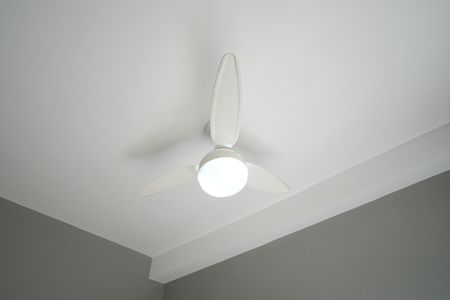 Apartamento para alugar com 24m², 1 quarto e sem vagaSuíte