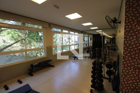 Apartamento para alugar com 65m², 2 quartos e 1 vaga Apartamento para alugar com 65m², 2 quartos e 1 vagaÁrea comum - Academia