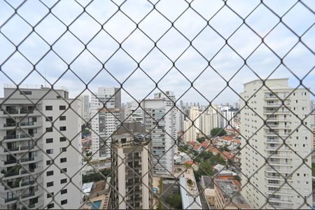 Apartamento à venda com 115m², 3 quartos e 2 vagasVista da Varanda Gourmet