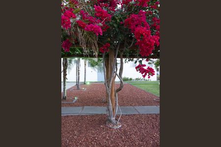 Apartamento para alugar com 54m², 2 quartos e 1 vaga Apartamento para alugar com 54m², 2 quartos e 1 vagaÁrea externa