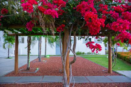 Apartamento para alugar com 54m², 2 quartos e 1 vaga Apartamento para alugar com 54m², 2 quartos e 1 vagaÁrea externa