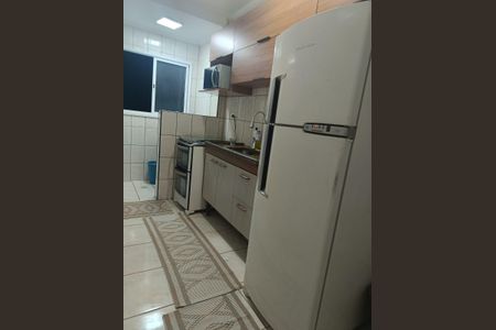 Cozinha de apartamento para alugar com 1 quarto, 60m² em Cidade Ocian, Praia Grande