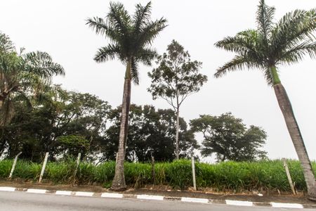 Casa para alugar com 350m², 3 quartos e 4 vagasVista da Rua