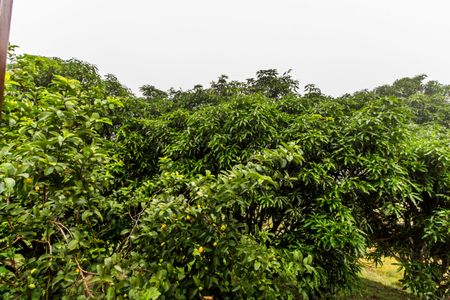 Casa para alugar com 350m², 3 quartos e 4 vagasVista do Quarto 2