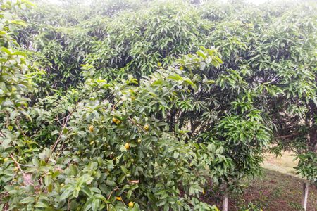 Casa para alugar com 350m², 3 quartos e 4 vagasVista do Quarto 2