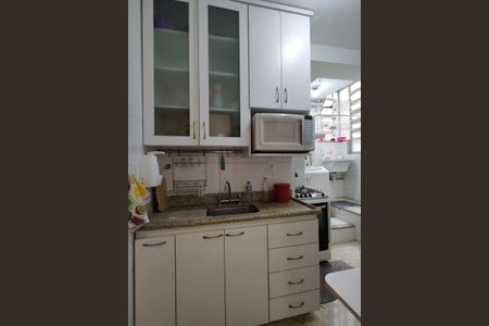 Apartamento à venda com 52m², 2 quartos e 1 vagaCozinha - Armários