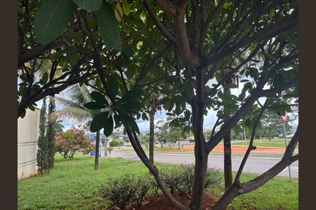 Casa para alugar com 482m², 3 quartos e 4 vagas Casa para alugar com 482m², 3 quartos e 4 vagasÁrea externa