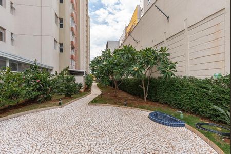 Apartamento para alugar com 66m², 2 quartos e 1 vaga Apartamento para alugar com 66m², 2 quartos e 1 vagaÁrea comum