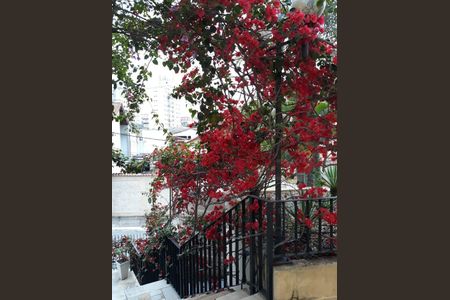 Apartamento à venda com 2 quartos, 60m² em Tucuruvi, São Paulo