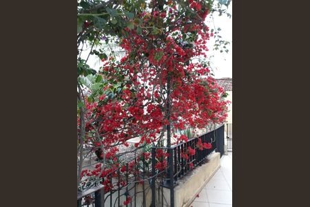 Apartamento à venda com 2 quartos, 60m² em Tucuruvi, São Paulo