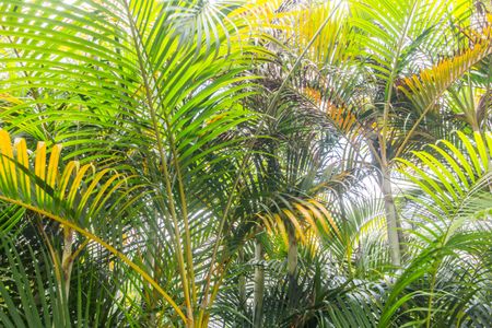 Apartamento à venda com 170m², 3 quartos e 2 vagas Apartamento à venda com 170m², 3 quartos e 2 vagasVista da Varanda