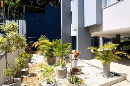 Apartamento para alugar com 75m², 2 quartos e 1 vaga Apartamento para alugar com 75m², 2 quartos e 1 vagaEntrada