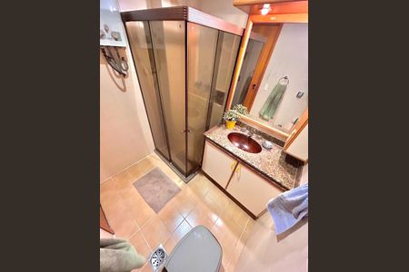 Banheiro de apartamento para alugar com 2 quartos, 100m² em Flamengo, Rio de Janeiro