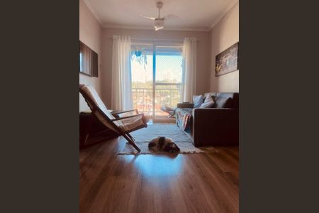 Apartamento à venda com 3 quartos, 76m² em Super Quadra Morumbi, São Paulo