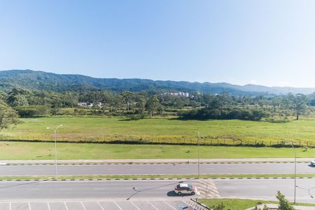 Apartamento para alugar com 56m², 2 quartos e 1 vaga Apartamento para alugar com 56m², 2 quartos e 1 vagaVista do Quarto 1