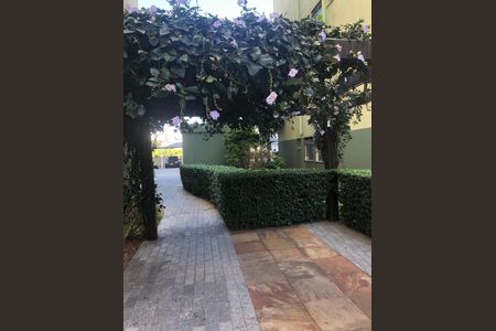 Apartamento à venda com 2 quartos, 49m² em Vila Cruz das Almas, São Paulo