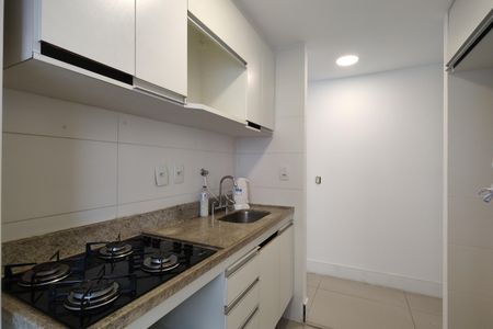 Apartamento para alugar com 60m², 2 quartos e 1 vagaCozinha - Armários